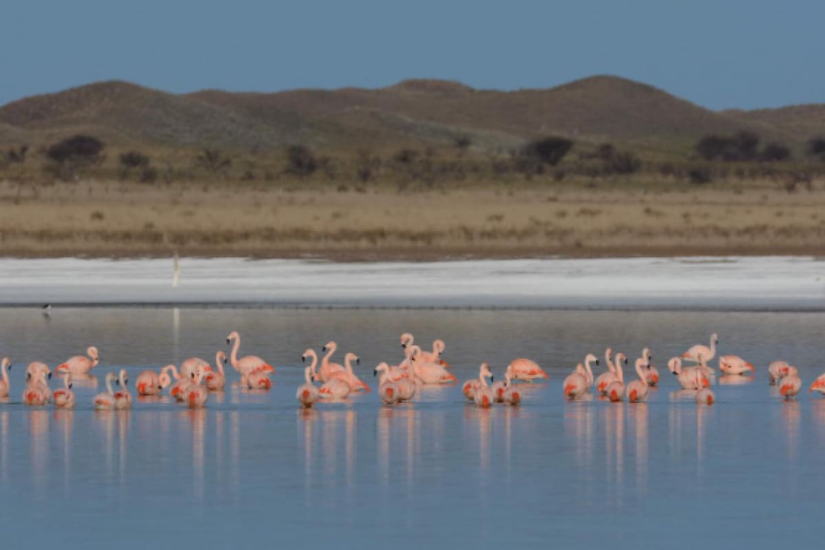 Laguna de Utracán. Foto: Instagram / turismo.lapampa.