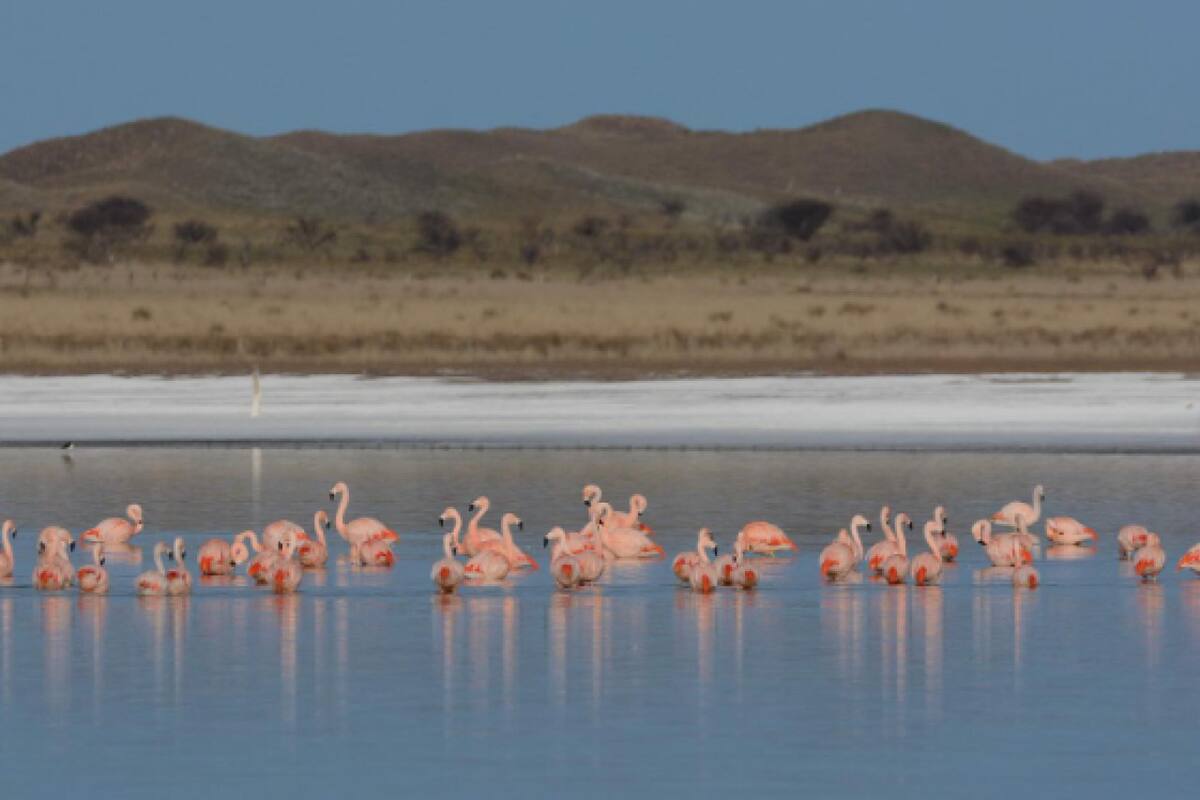 Laguna de Utracán. Foto: Instagram / turismo.lapampa.