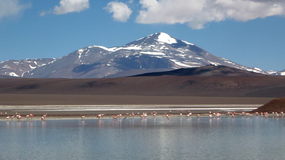 No es el Caribe: el impresionante espejo de agua argentino donde los flamencos y los volcanes son los protagonistas