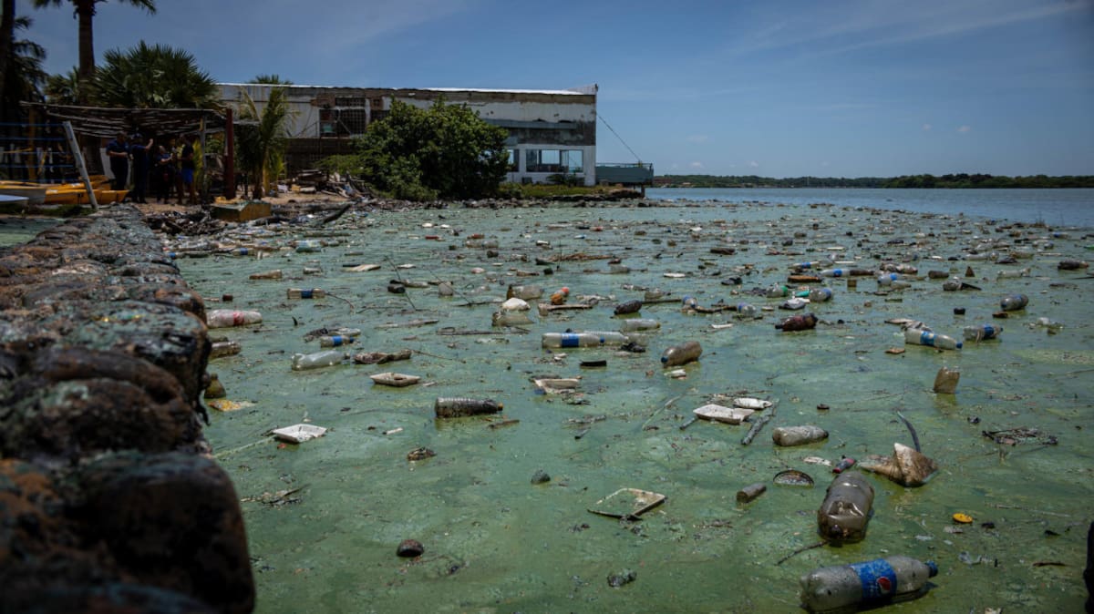 Las aguas son tan espesas que hasta los desechos más livianos flotan. Foto: EFE