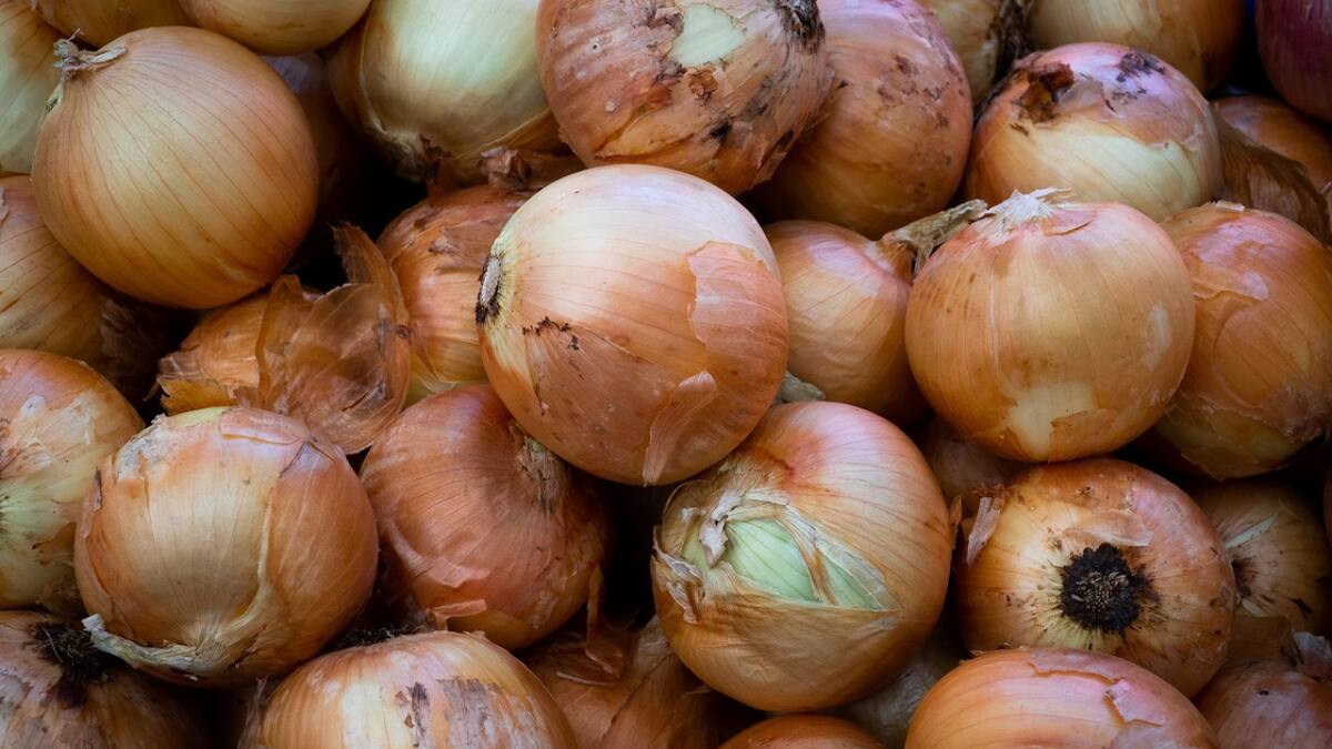 Las cebollas son importantes para prevenir la tos. Foto: Unsplash.