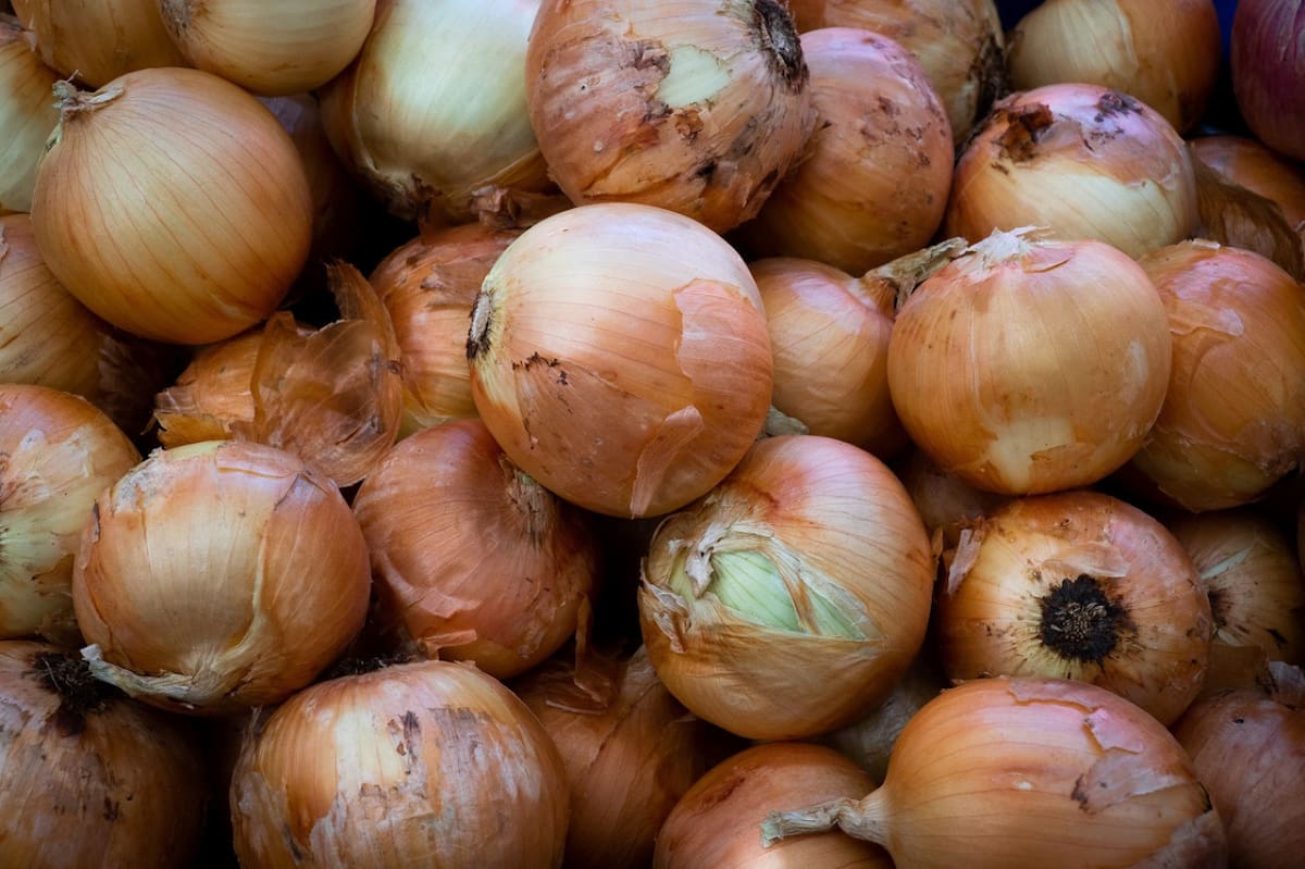 Las cebollas son importantes para prevenir la tos. Foto: Unsplash.