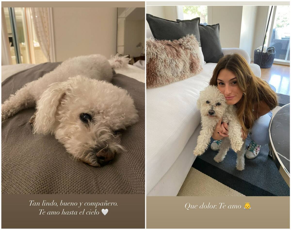 Las historias de Lola Latorre. Foto: Instagram.