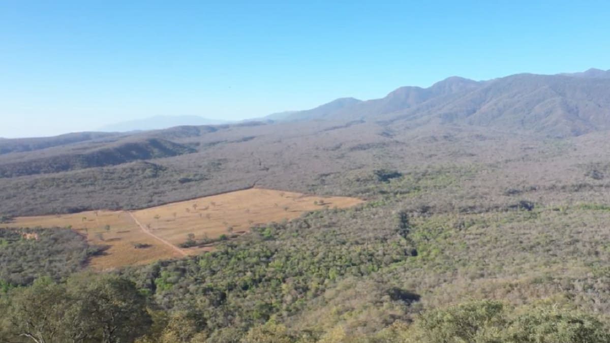 Las Lauras. Foto: prensa.