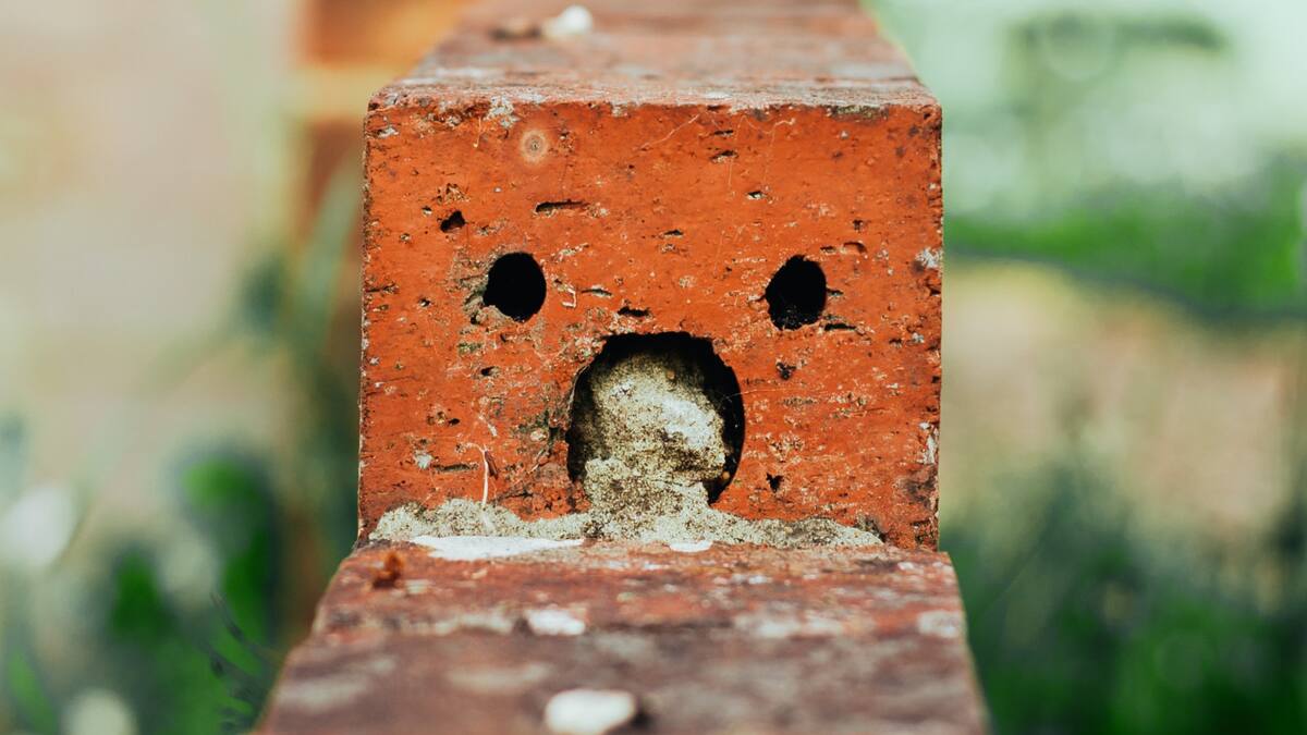 Las madres primerizas son más propensas a ver rostros en objetos sin vida. Foto: Unsplash.