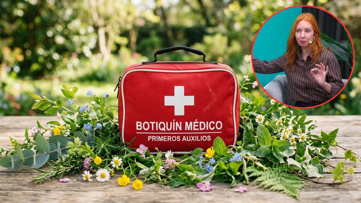 Las plantas que no pueden faltar en tu botiquín natural de primavera, según Liliana Cáceres