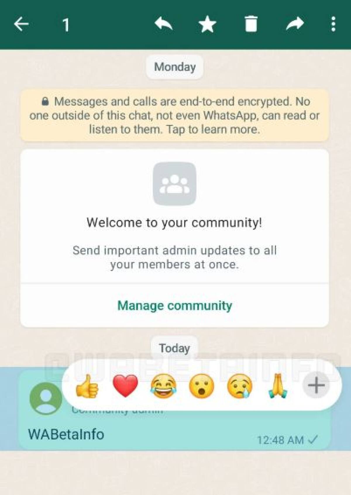 Las reacciones serán "secretas" en las Comunidades de WhatsApp. Foto: WABetaInfo.