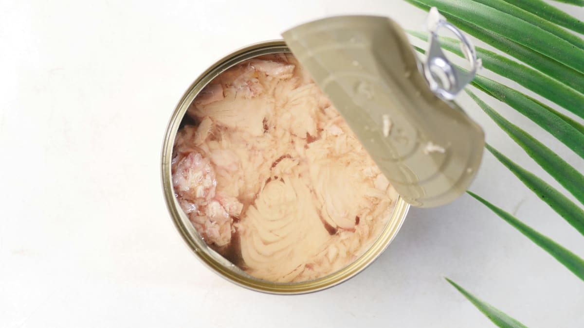 Alertan por mercurio en latas de atún: piden devolver esta marca y no consumirla