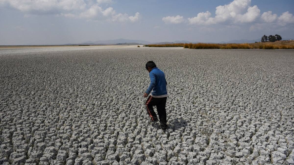 Latinoamérica es una de las zonas más afectadas por el cambio climático. Foto: Reuters.