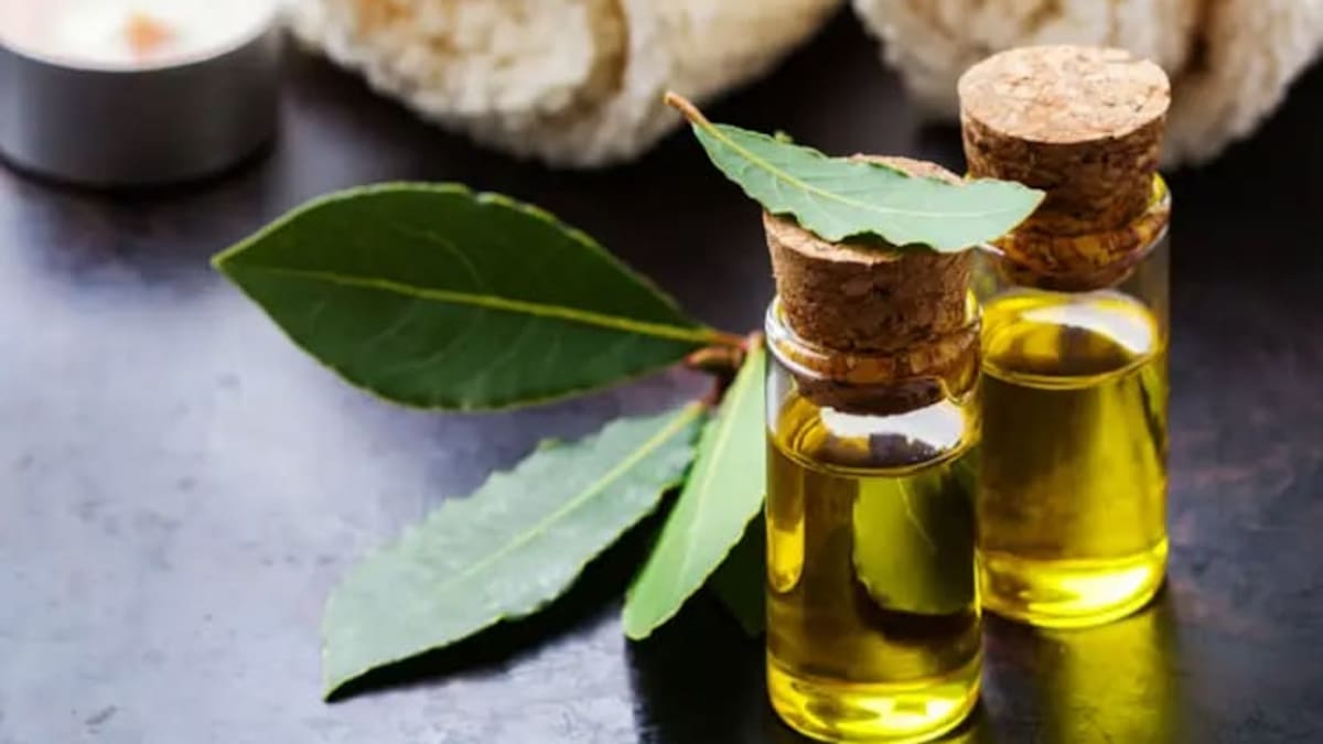 Cómo usar el laurel para perfumar la casa: preparación y beneficios