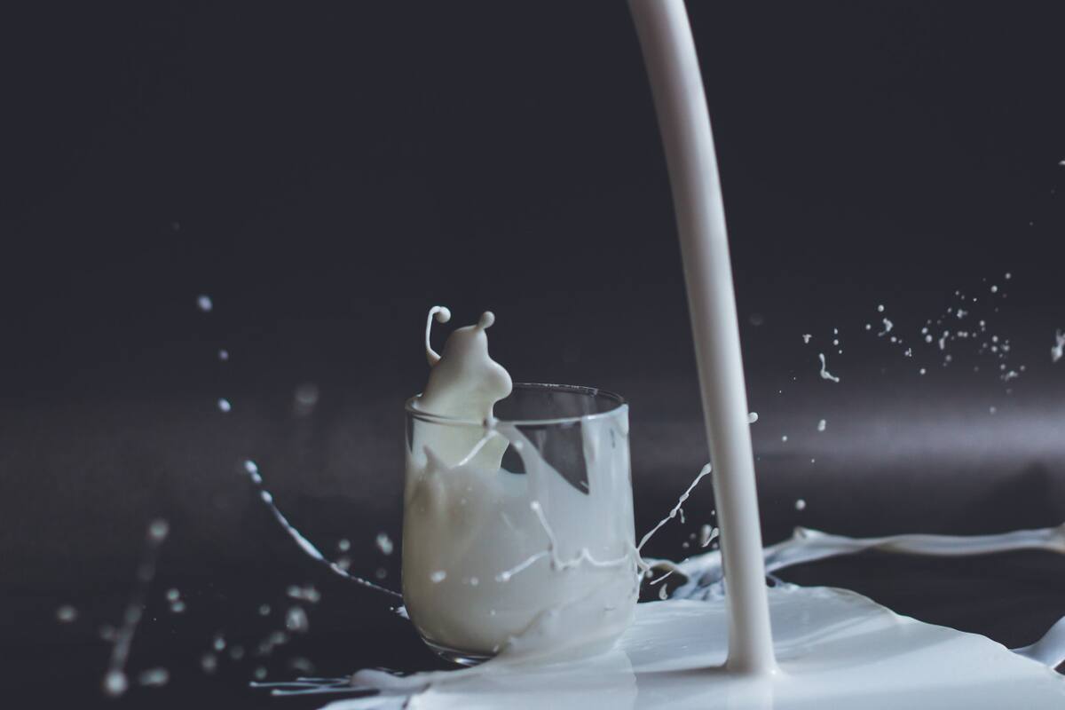 Leche. Foto: Unsplash.