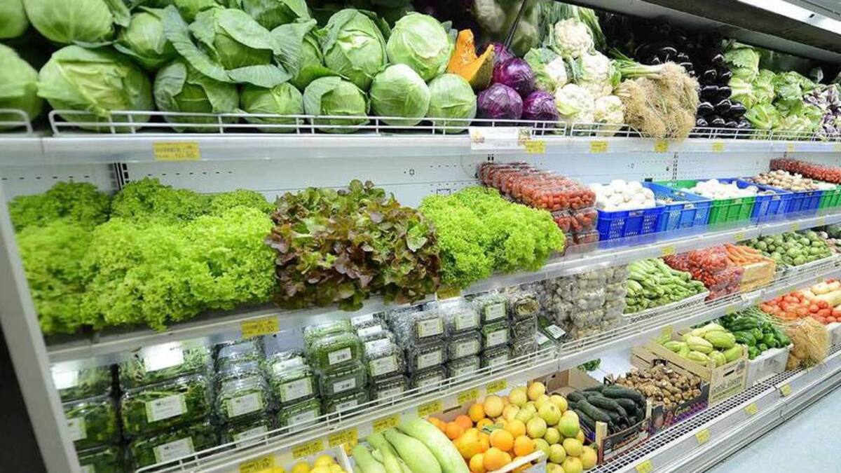 Lechuga - Verduras - Precios