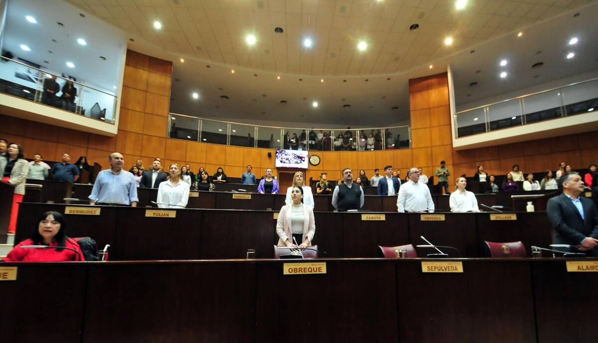Legislatura de Neuquén. Foto: x @LegislaturaNqn.