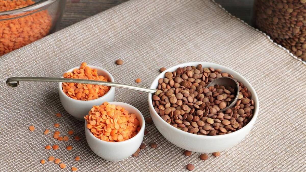 Lentejas: cuántas veces por semana hay que consumirlas y qué beneficios aporta, según los expertos de Harvard