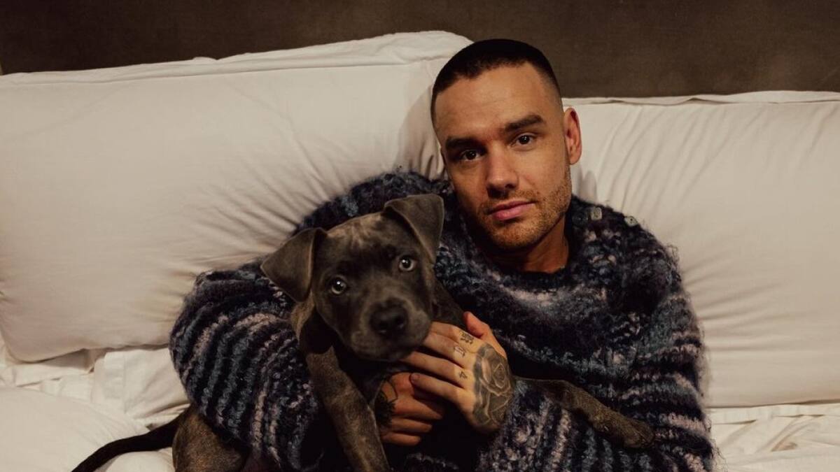 Liam Payne junto a su perro Stanley. Foto: Instagram @liampayne.