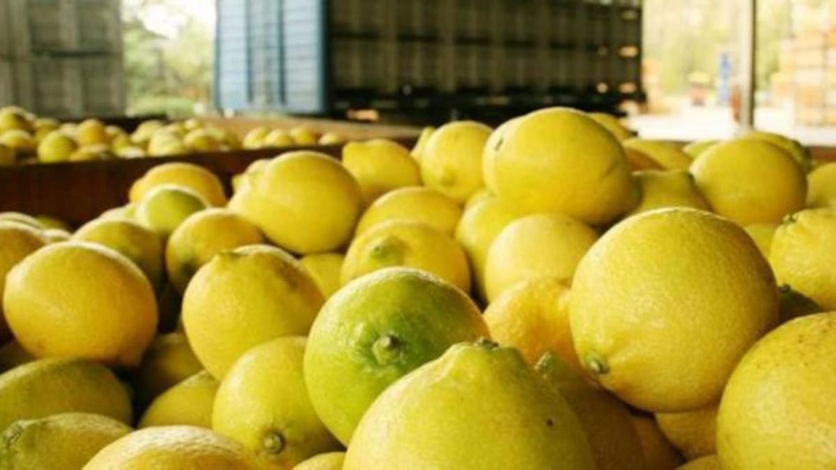 limones