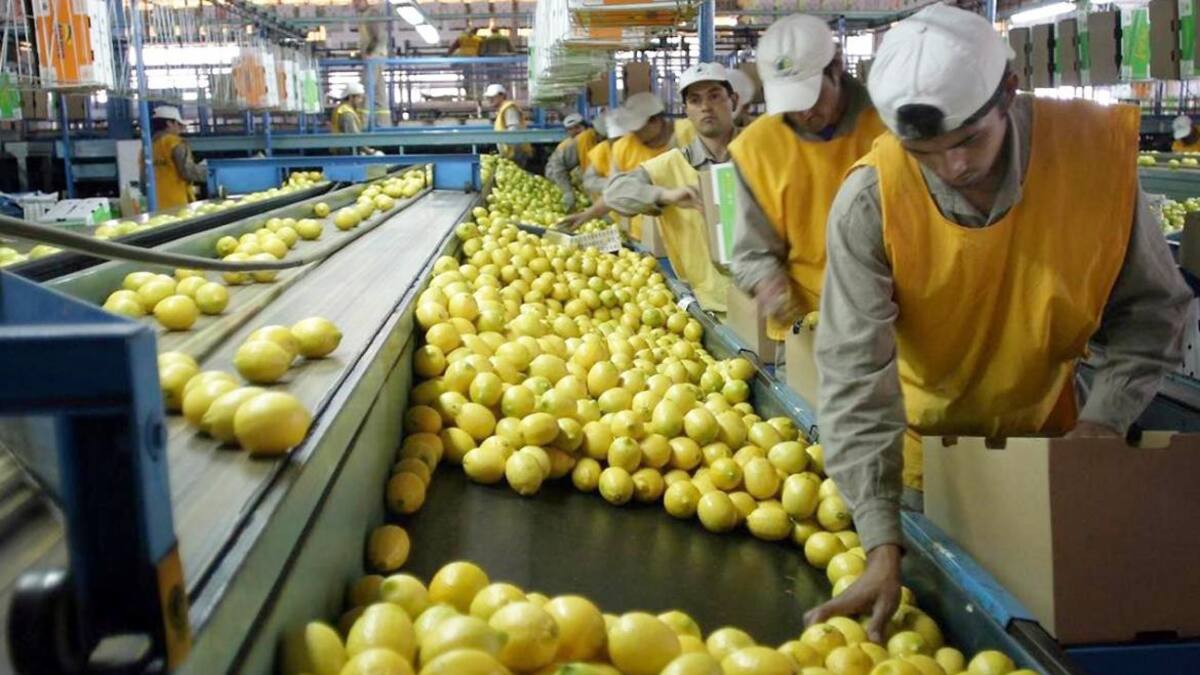 Limones de Argentina