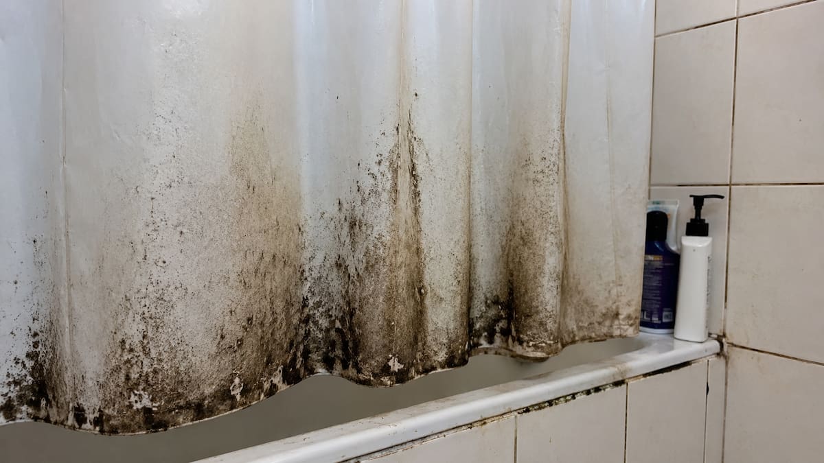 Cómo quitar el moho de la cortina de baño y dejarla como nueva con trucos caseros