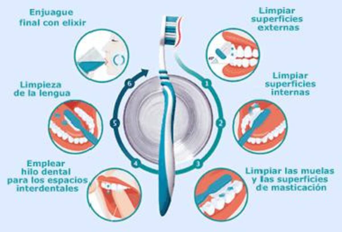 Limpieza bucal - salud