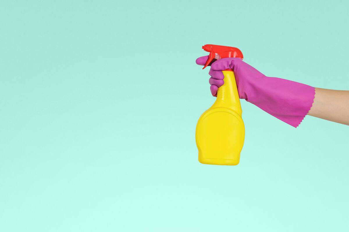 Limpieza, cocina, bacterias. Foto: Unsplash