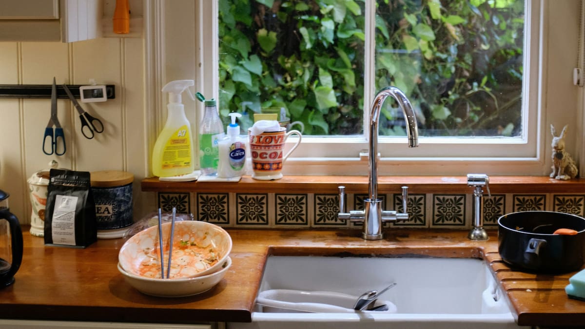 Limpieza, cocina, bacterias. Foto: Unsplash