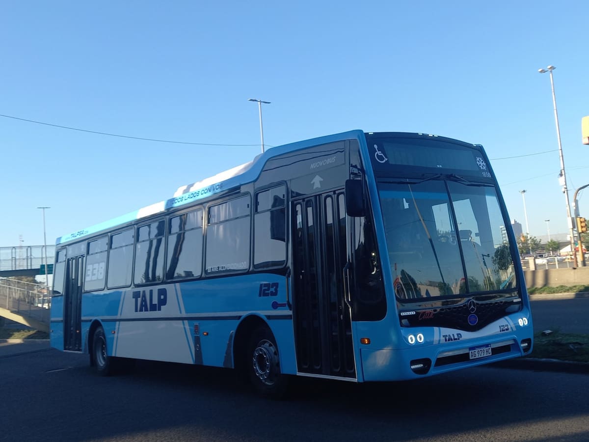 Linea 338. Fuente: Facebook /Bondis del todo el pais