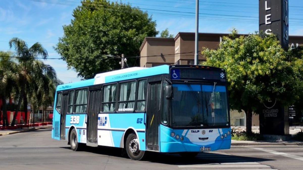 Línea 338. Fuente: X @NiatoLeproso