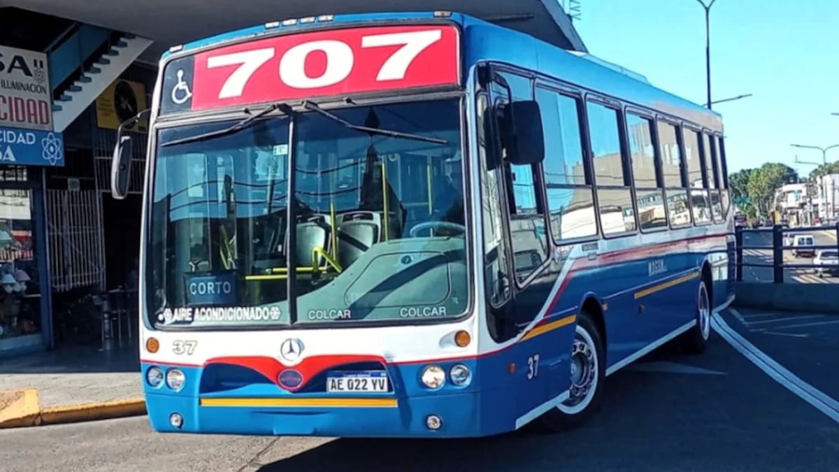 Atención al transporte público: estas son las 4 líneas de colectivos del Conurbano Bonaerense que vuelven a funcionar