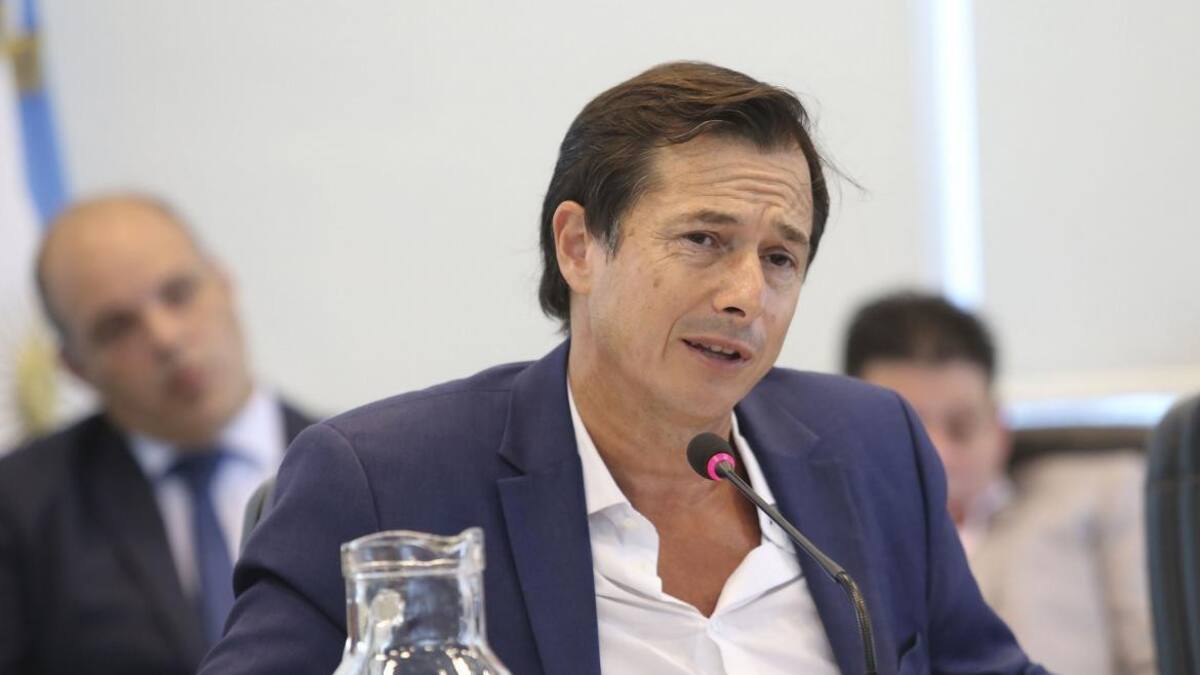 Lipovetzky - Diputado Cambiemos