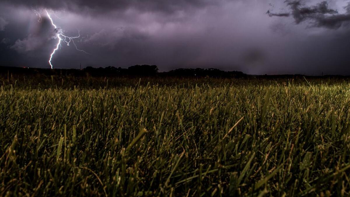 Lluvia; cultivo; sequía. Foto: Unsplash (Eugene Triguba)