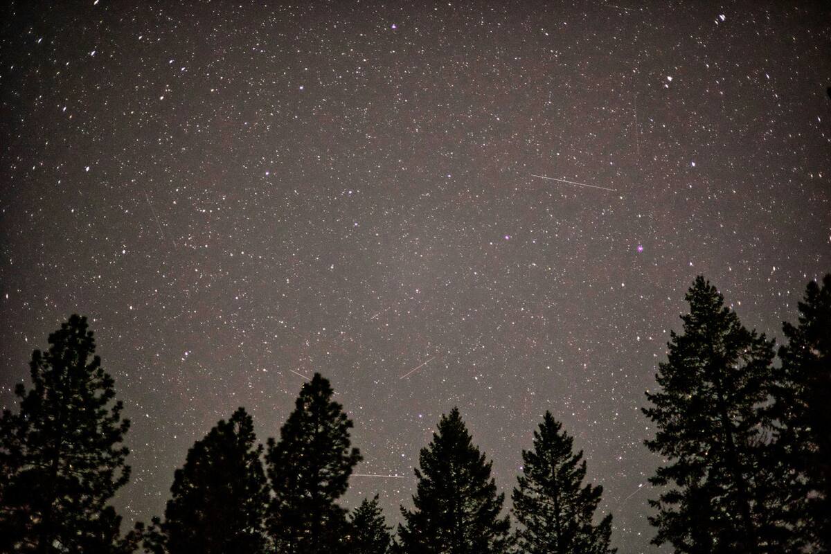 Lluvia de estrellas. Foto: Unsplash.