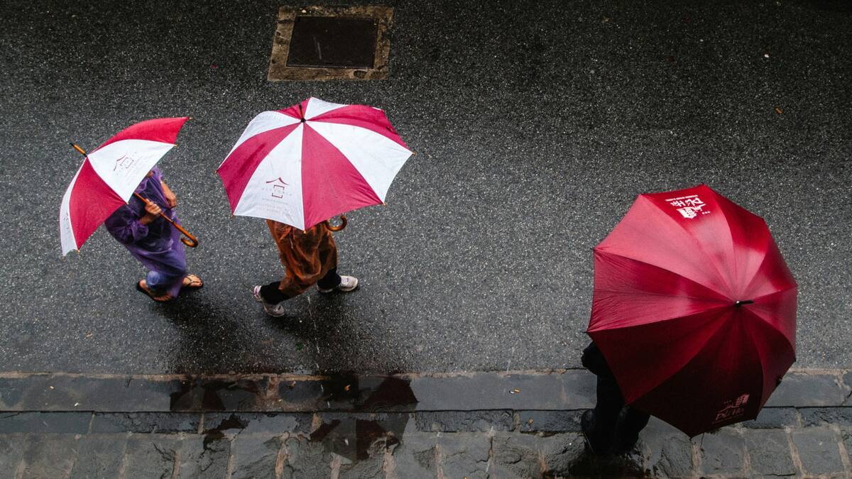 Lluvias. Foto: Unsplash.