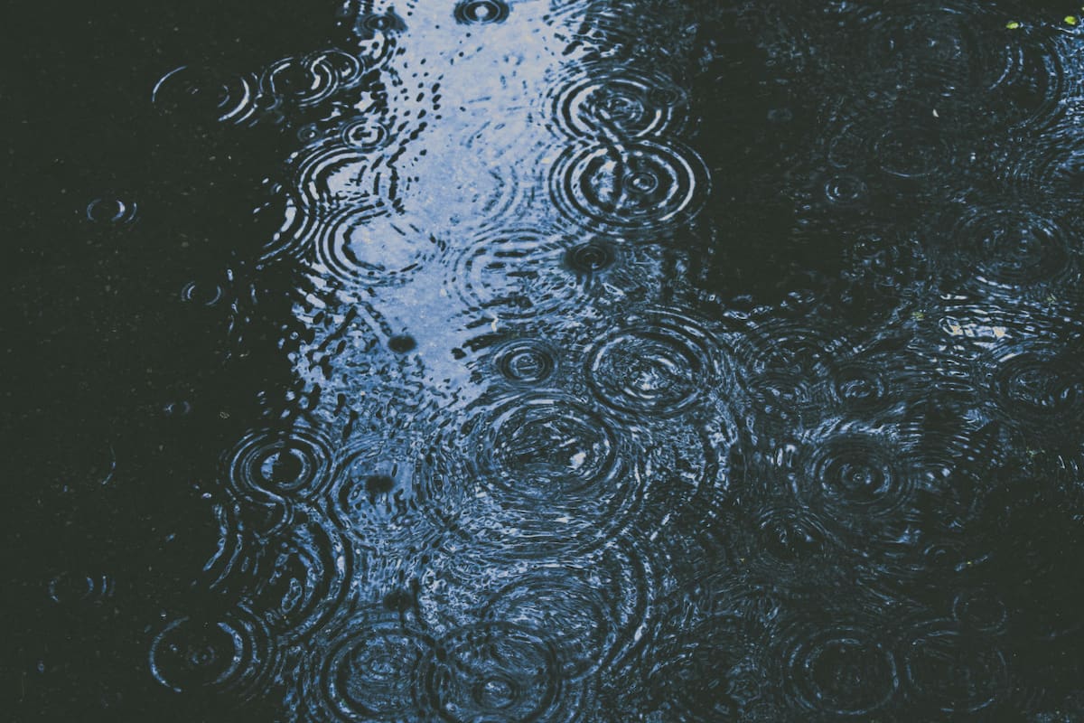 Lluvias. Foto: Unsplash.