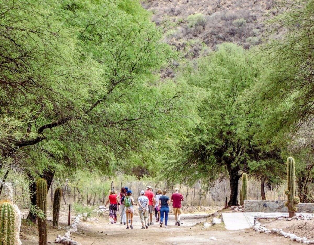 Londres, Catamarca. Foto: Instagram