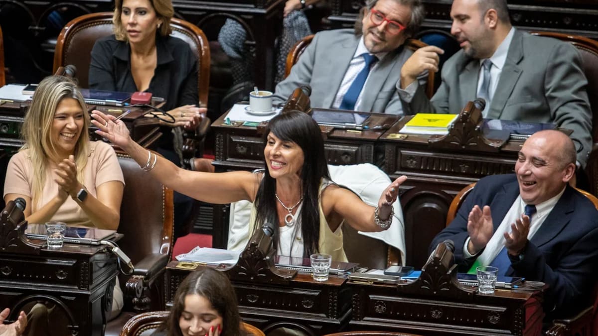 Tras el freno a su jura en el Senado, Lorena Villaverde retiró su renuncia como diputada