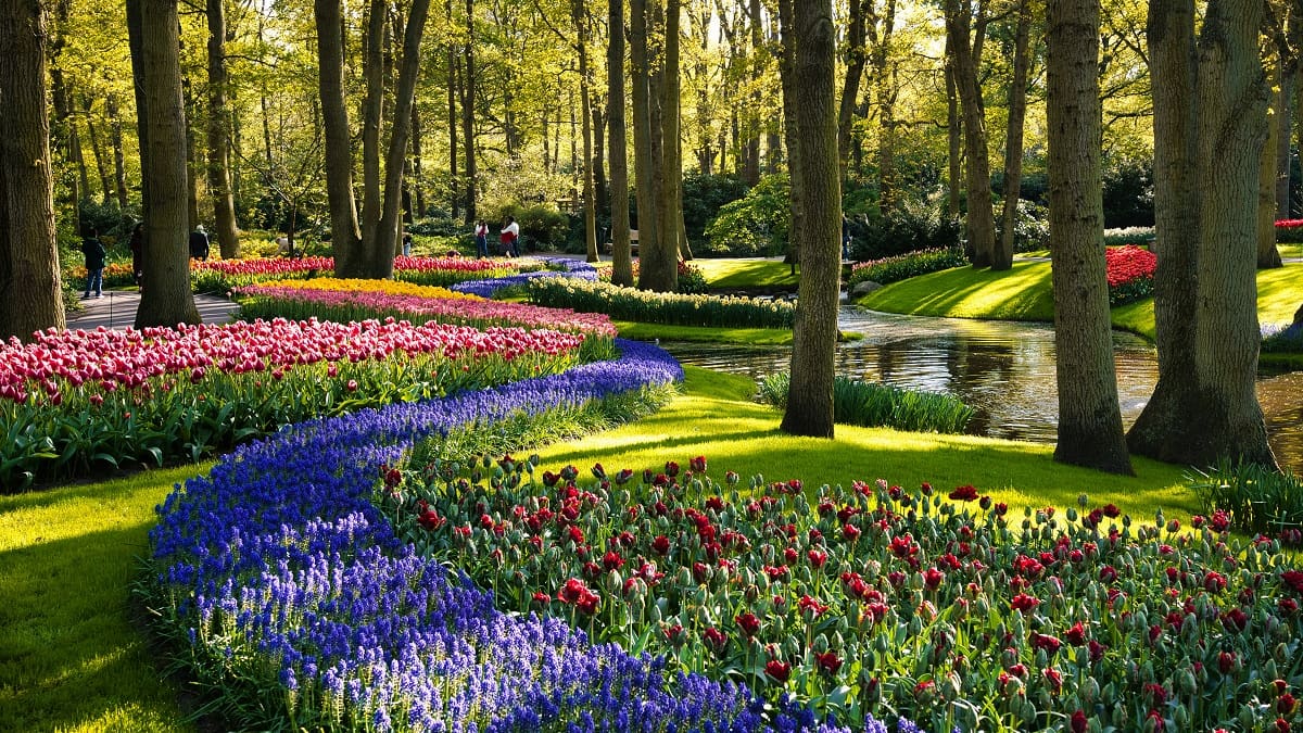 Los 10 destinos florales más increíbles del mundo en 2026: jardines, paisajes y tulipanes que parecen irreales