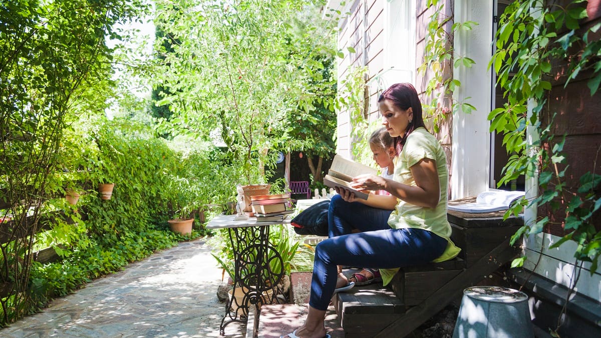 Los árboles ideales con poca raíz para el jardín de tu casa.