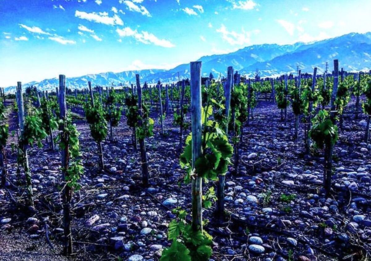 Los Chacayes, Mendoza. Foto: X