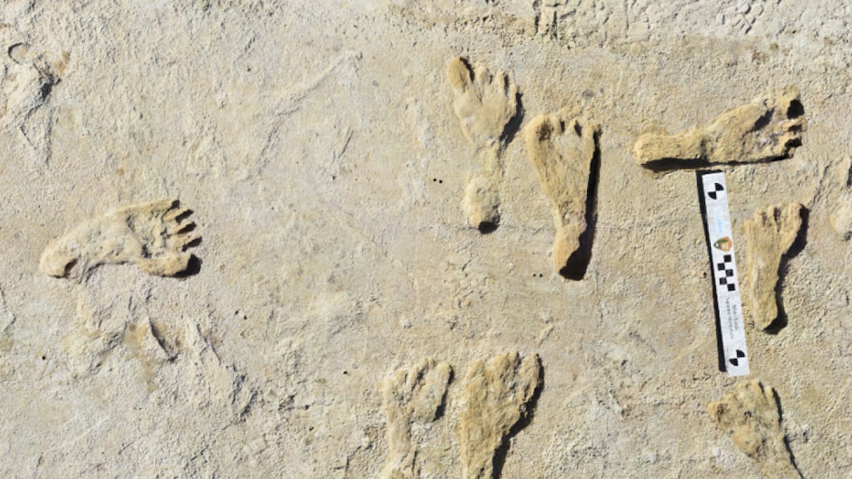 Los humanos llegaron a América hace más de 20.000 años atrás. Foto: Servicio Geológico de Estados Unidos.