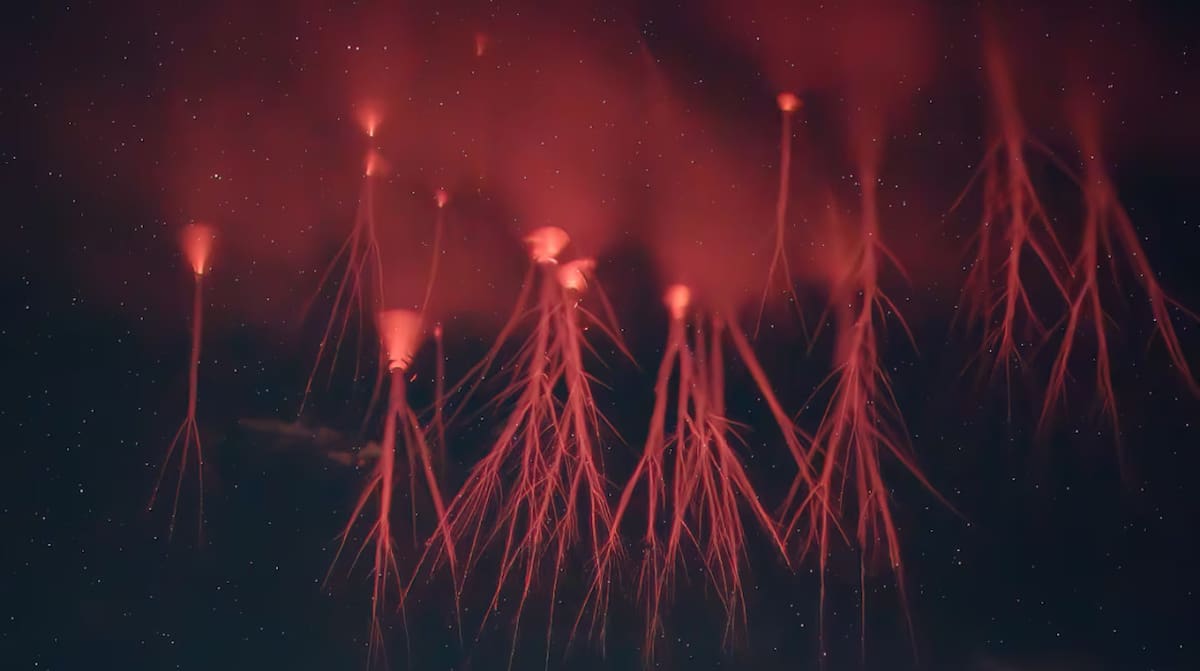 Los llamados "duendes rojos". Foto: NASA.