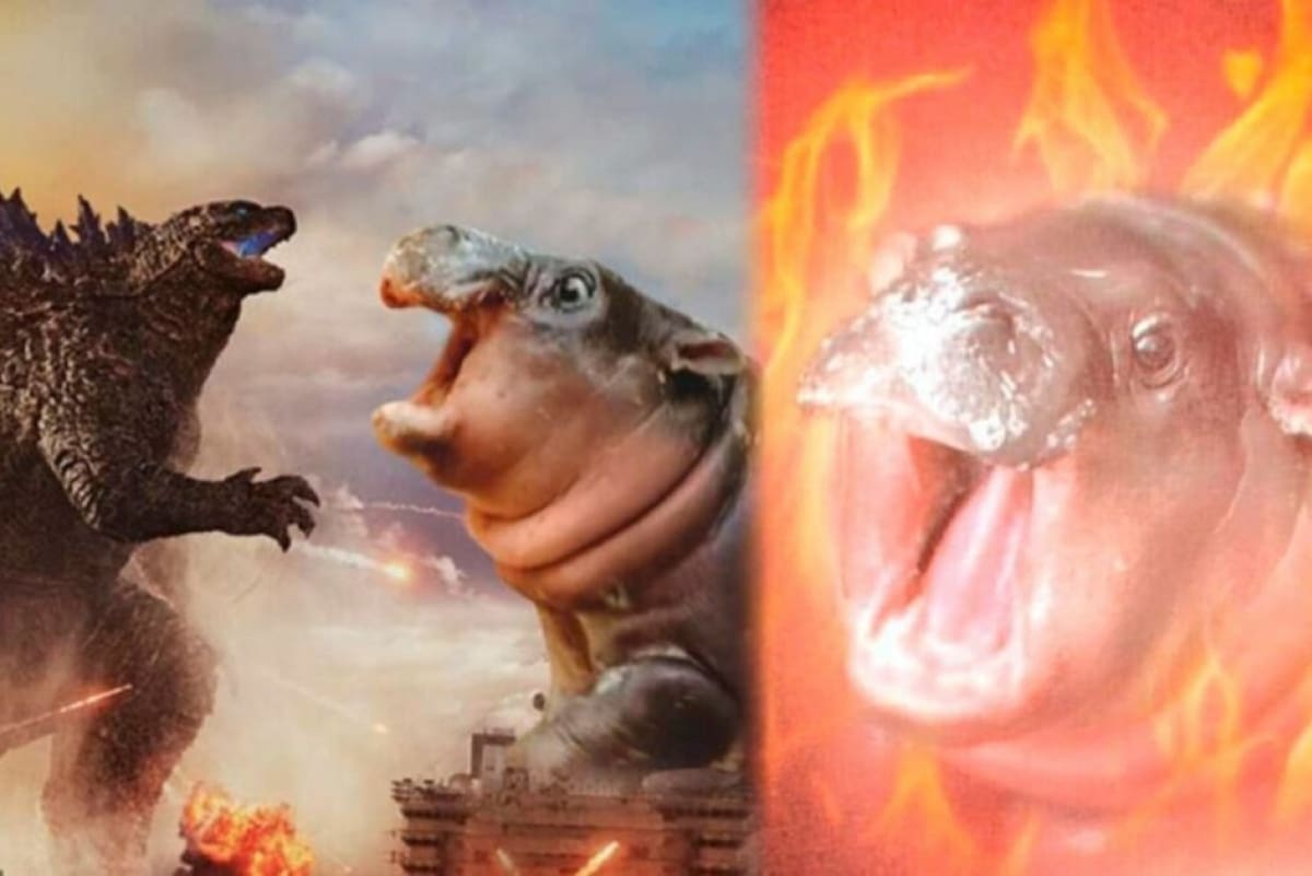 Los mejores memes de Moo Deng. Fuente: X