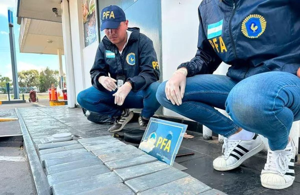 Los panes de cocaína incautadas a los cómplices de Leonardo Saravia. Foto: Policía Federal Argentina.