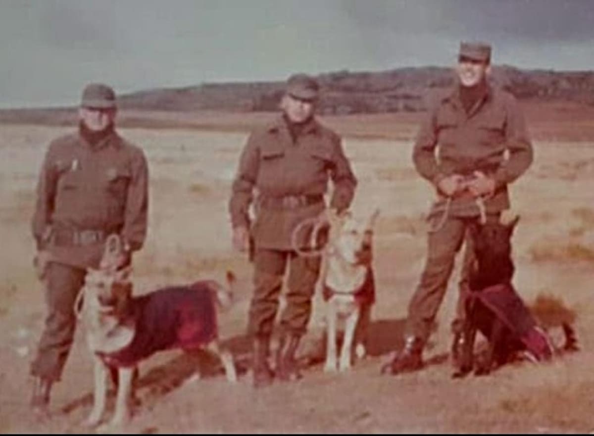 Los perros cumplieron roles de exploración, rescate y defensa