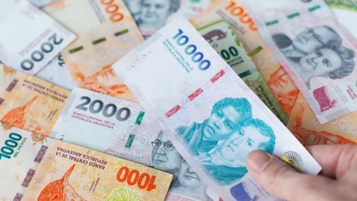 Billetes argentinos; plazo fijo. Foto: NA.