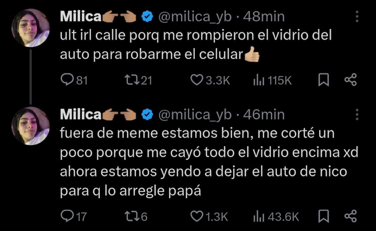 Los posteos de Milica tras el robo. Foto: X.