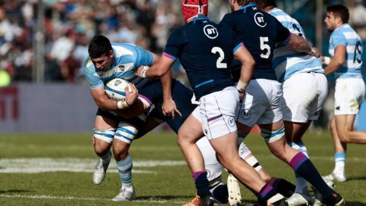 Los Pumas, rugby. Foto: NA.