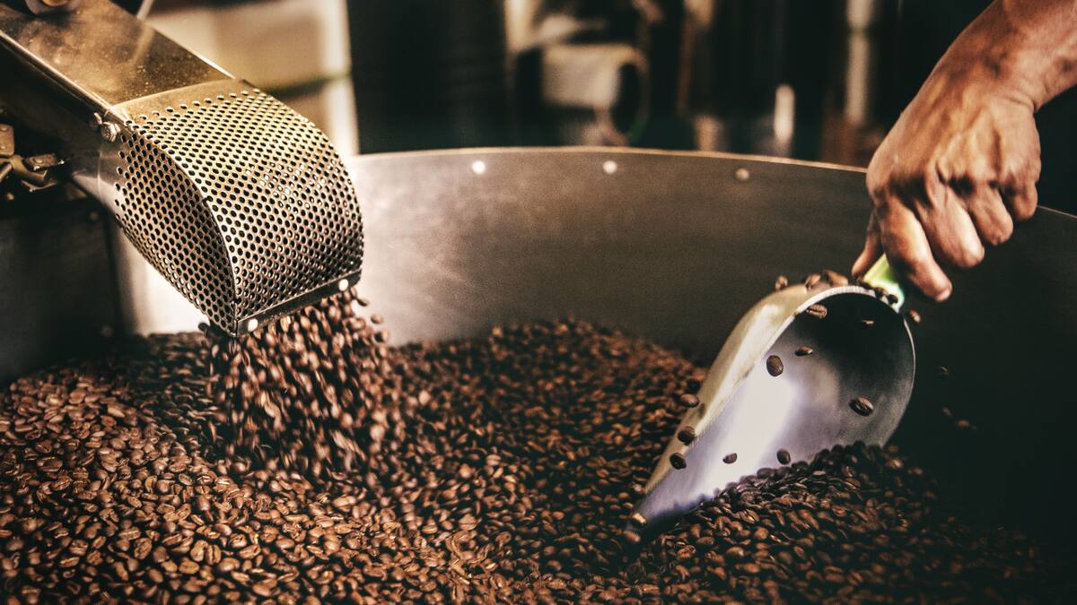 Los restos de café molido pueden ayudar a preservar el medio ambiente. Foto: Unsplash.