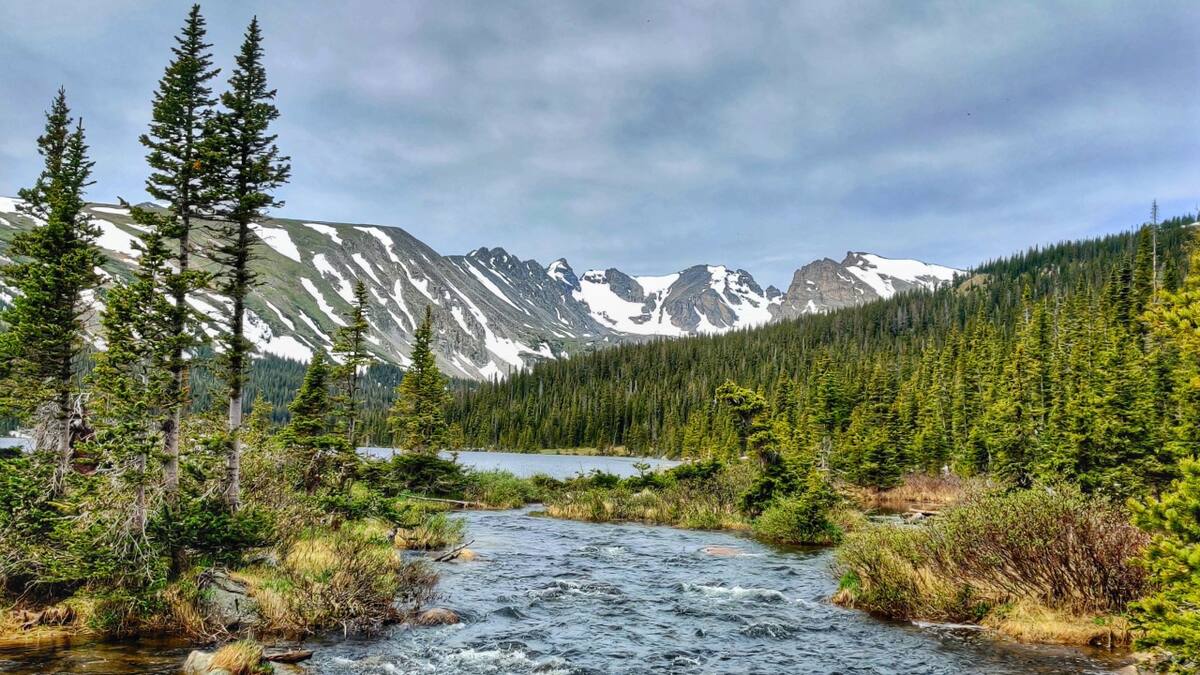 Rumbo a un desastre ecológico: los ríos se están calentando y perdiendo oxígeno