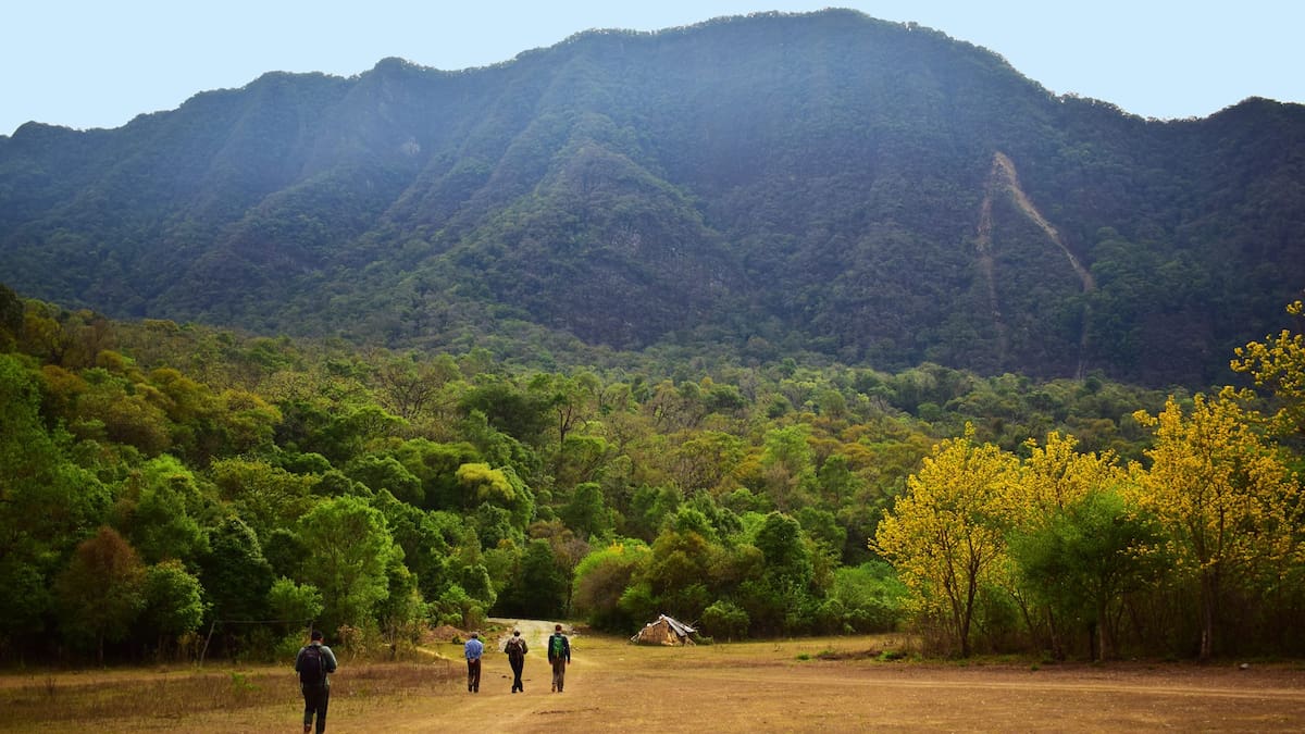 Un rincón soñado, oculto entre selva y montañas: el increíble pueblito argentino al que solo se llega cruzando por otro país