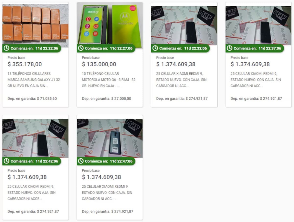 Lotes de celulares que subasta la AFIP. Foto: captura de pantalla.